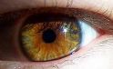 Fascinating Facts About Your Eyes
